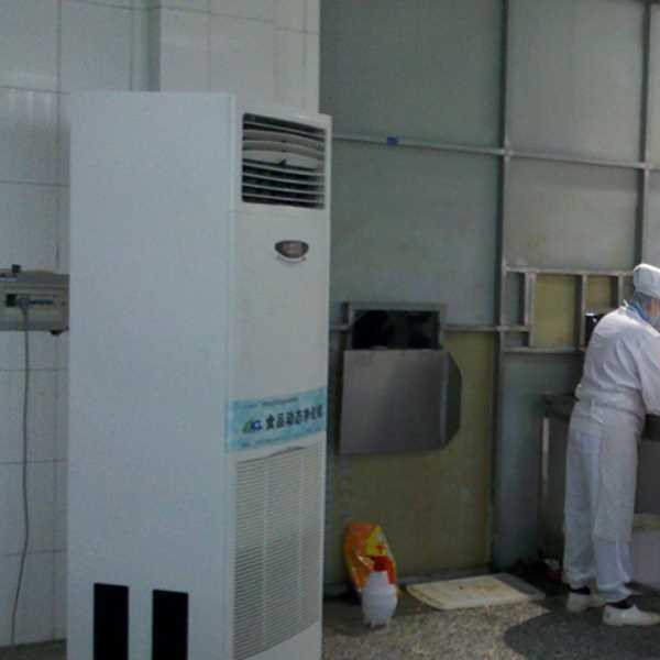 资阳食品正负离子空气杀菌器